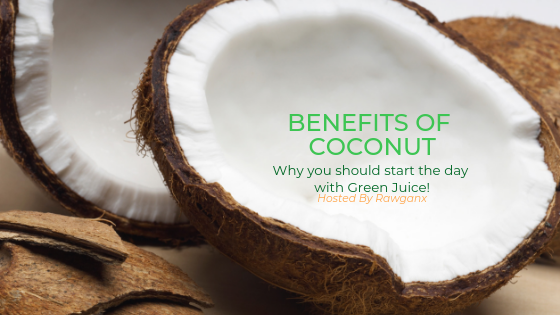 The Health Benefits of The Coconut Fruit Superfood